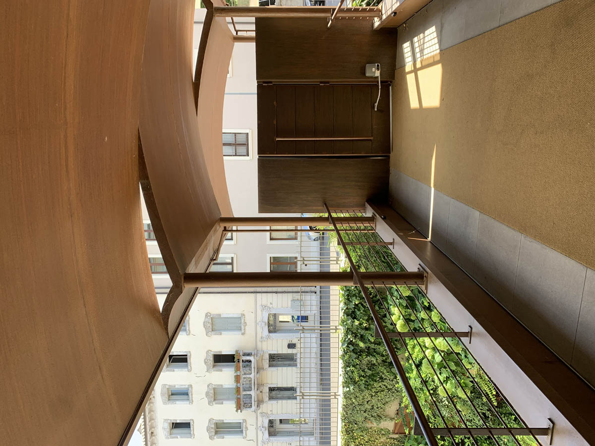 parona8
